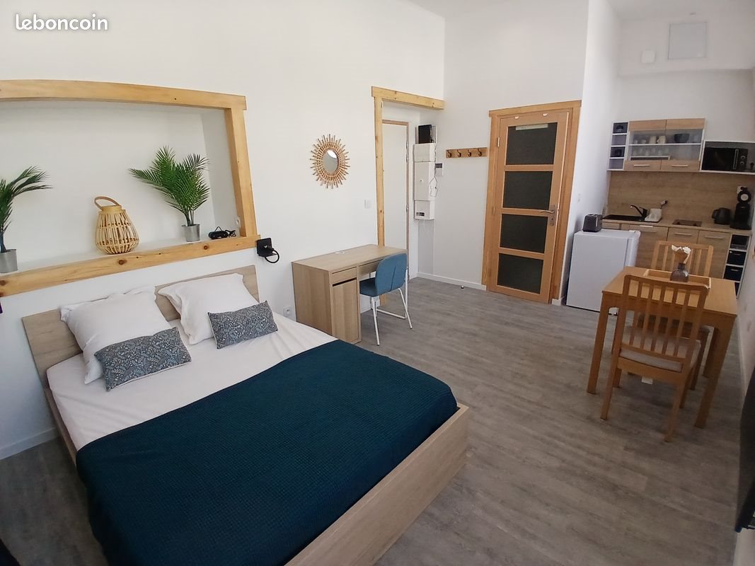 Appartement à louer, 24m², Saint-Etienne
