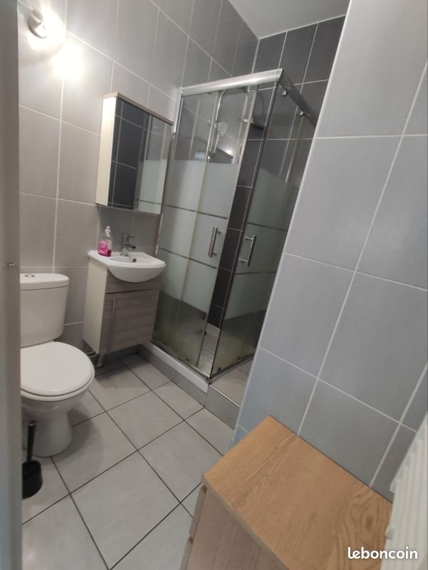 Appartement à louer, 20m², Saint-Étienne