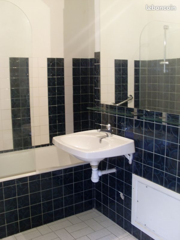 Appartement à louer, 39m², Villeurbanne