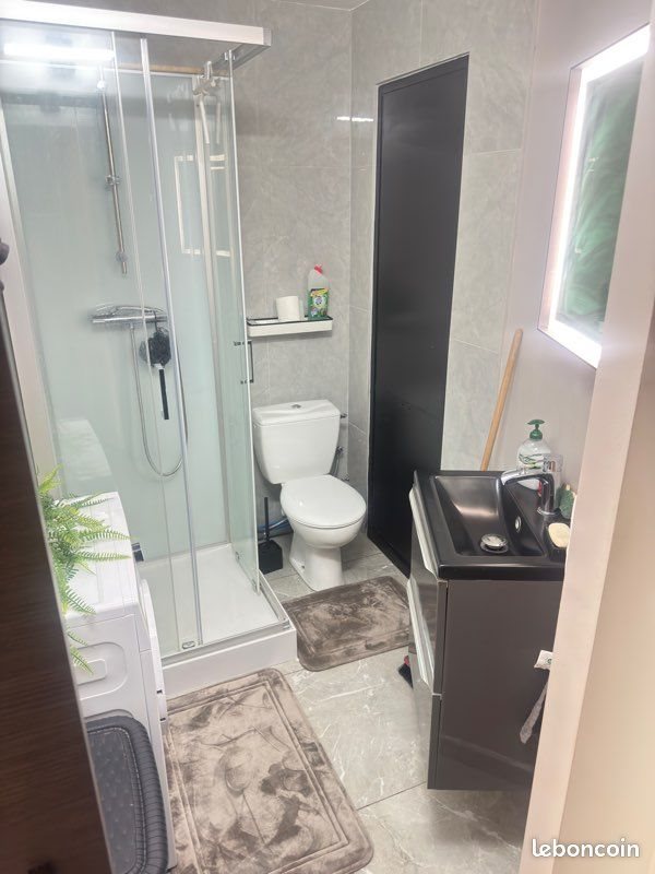 Appartement à louer, 30m², Saint-Etienne