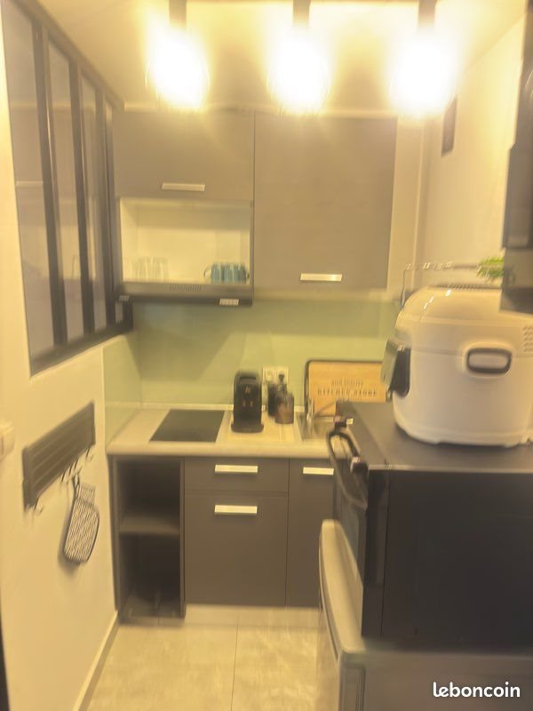 Appartement à louer, 30m², Saint-Etienne