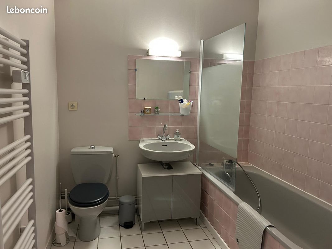 Appartement à louer, 28m², Olivet