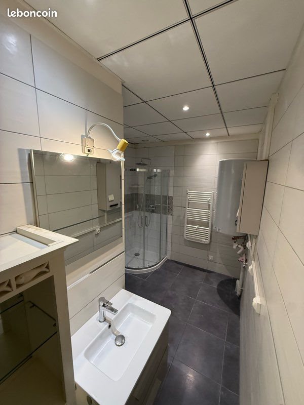 Appartement à louer, 55m², Moineville