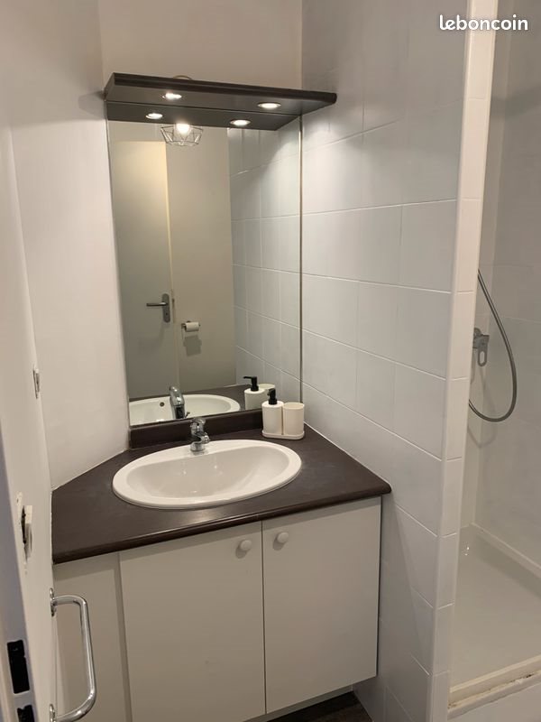 Appartement à louer, 24m², Lattes