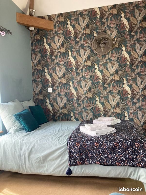 Appartement à louer, 18m², Caen