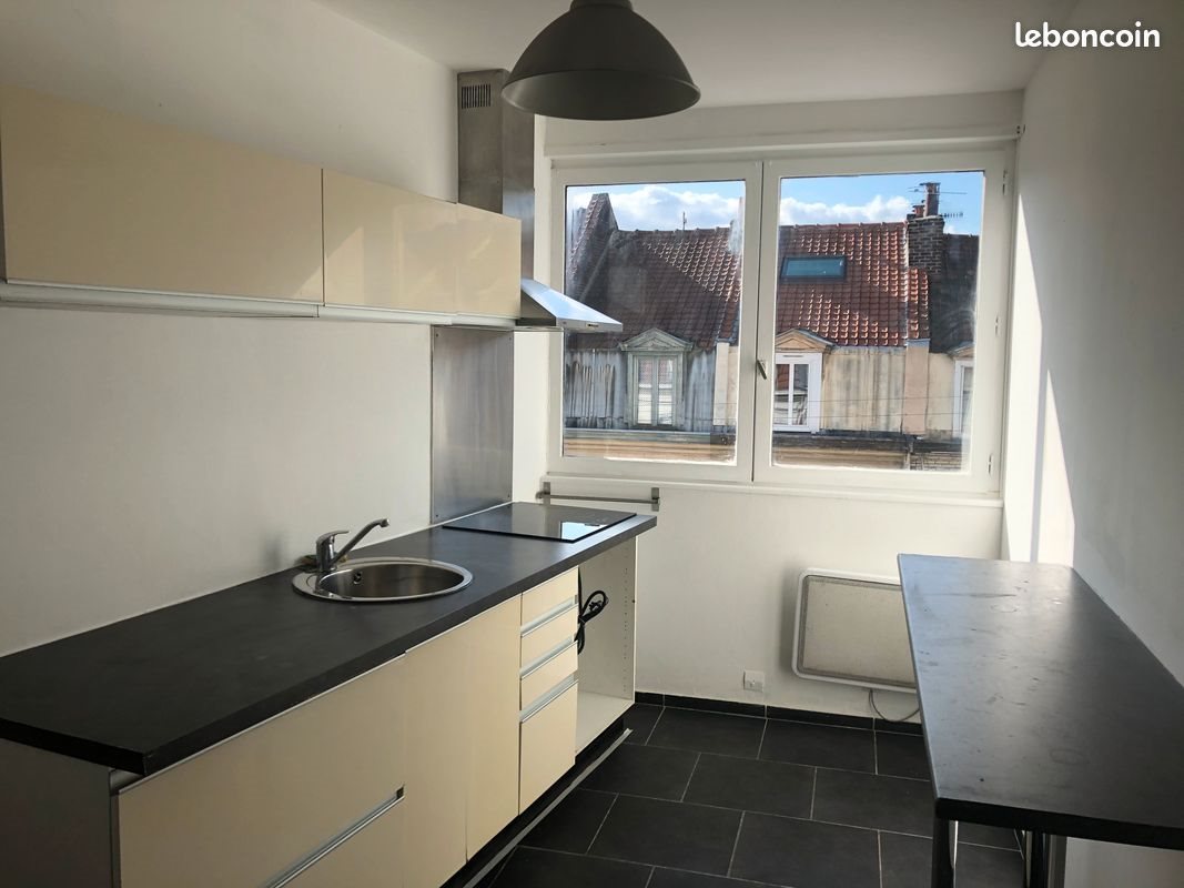 Appartement à louer, 56m², Lille
