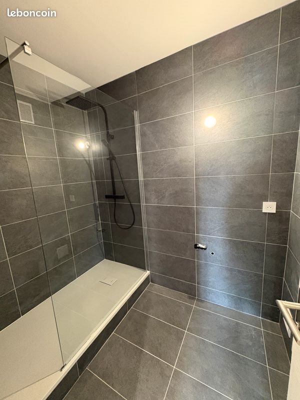 Appartement à louer, 48m², Saint-Étienne