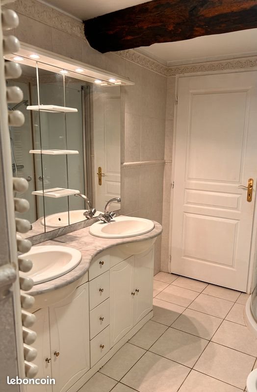 Maison à louer, 250m², Aussonne