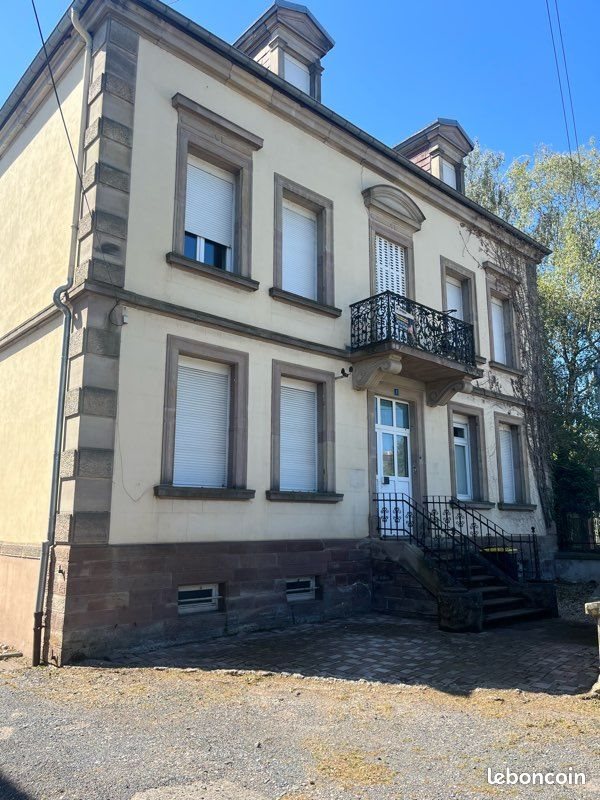 Maison à vendre, 470m², Sarrebourg