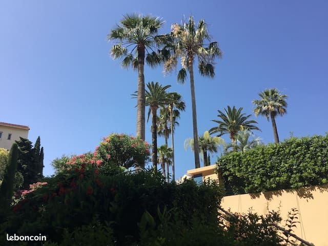 Appartement à louer, 74m², Cannes