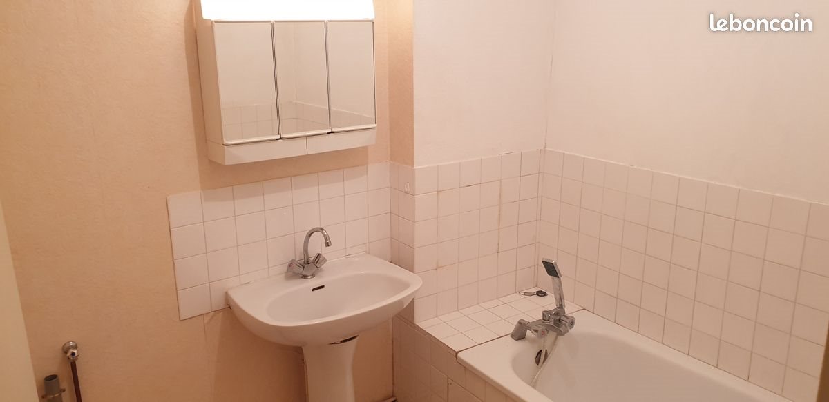 Appartement à louer, 55m², Saint-Aignan