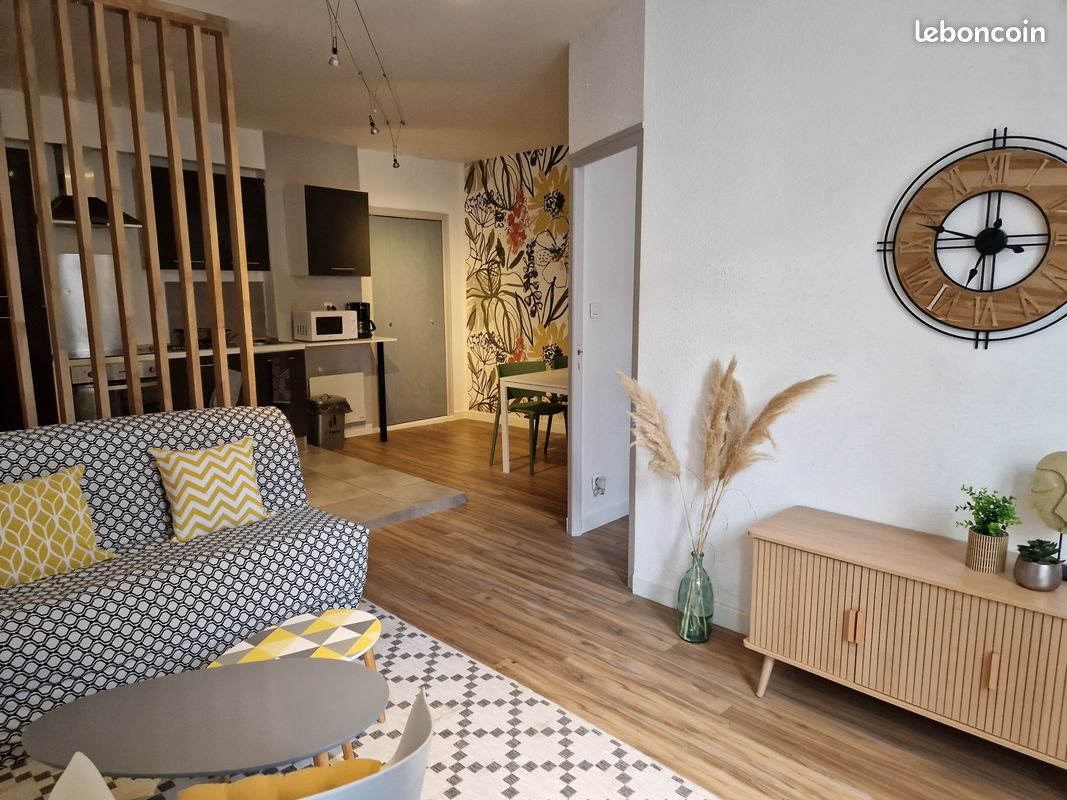 Appartement à louer, 35m², Pau