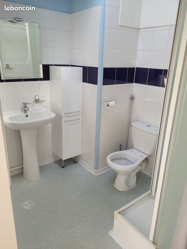 Appartement à louer, 39m², Nancy