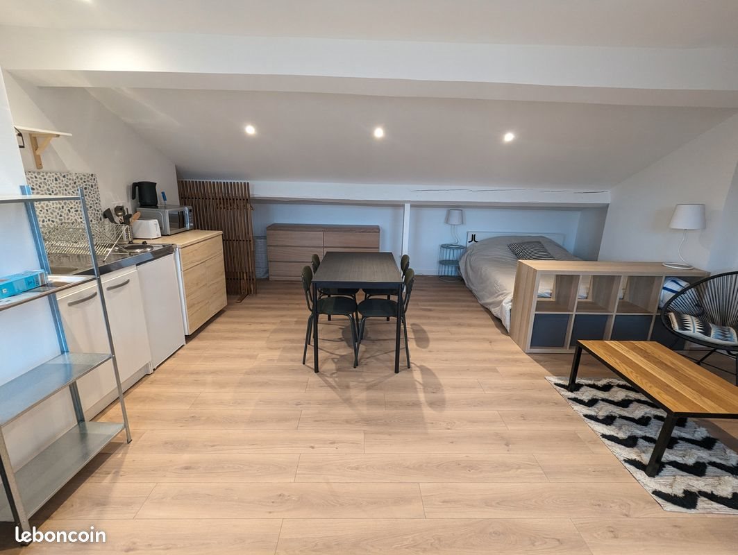 Appartement à louer, 26m², Saint-Etienne