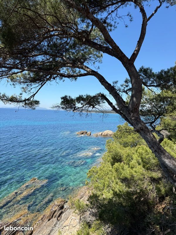 Appartement à louer, 30m², Bormes-les-Mimosas