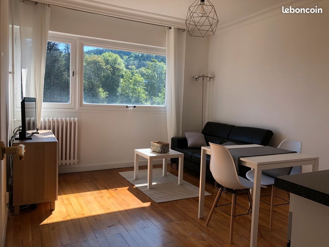 Appartement à louer, 33m², Saint-Étienne