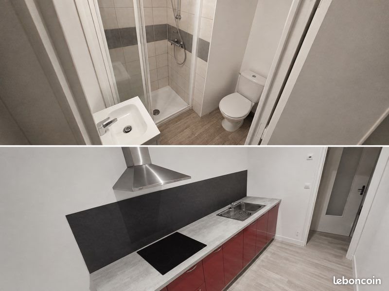 Appartement à louer, 29m², Saint-Etienne