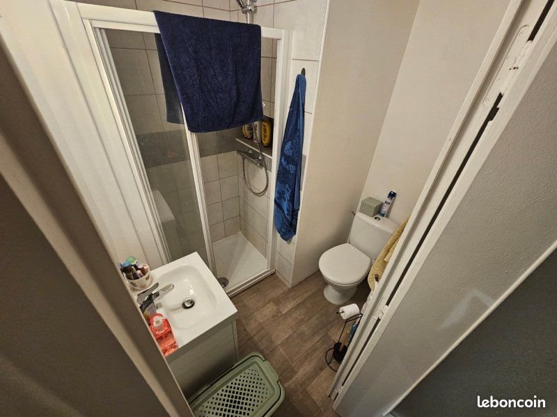 Appartement à louer, 29m², Saint-Etienne