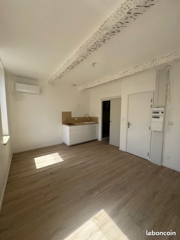 Appartement à louer, 19m², Ayguesvives