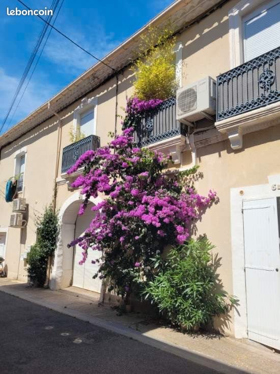Appartement à louer, 128m², Mèze