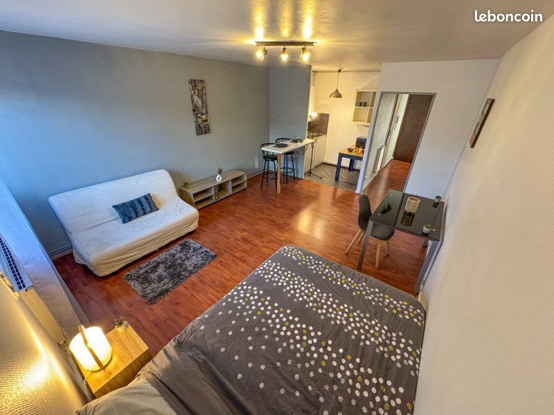 Appartement à louer, 35m², Saint-Etienne