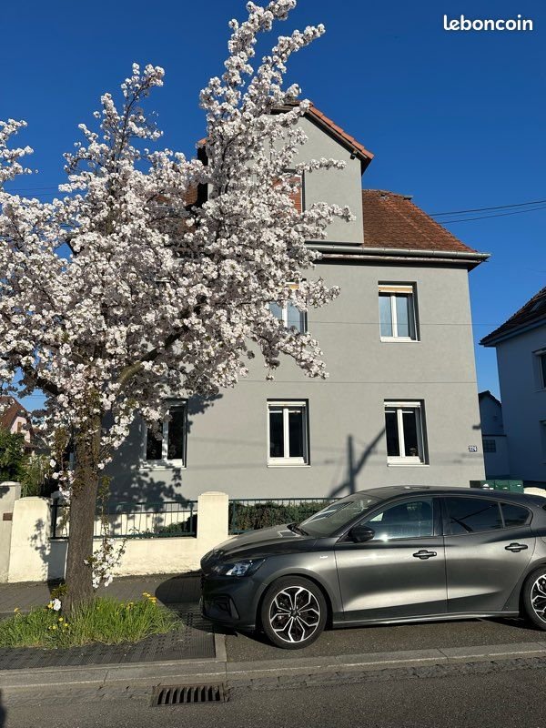 Appartement à louer, 60m², Ostwald