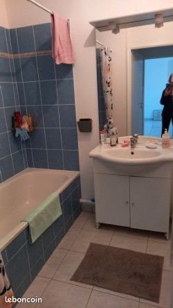 Appartement à louer, 43m², Naves