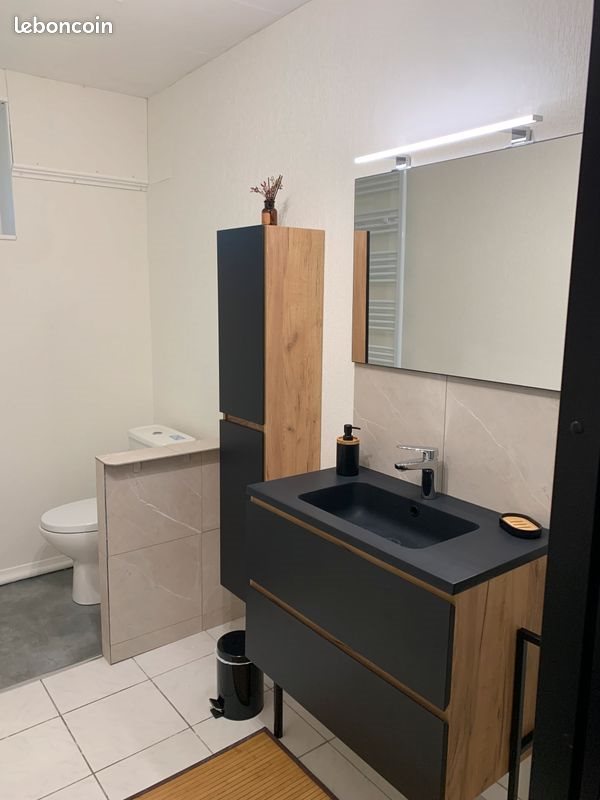 Appartement à louer, 35m², Condat-sur-Vienne