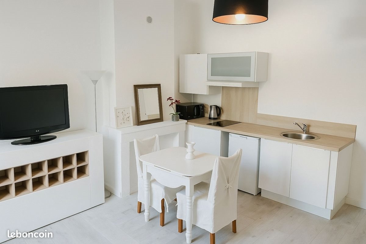 Appartement à louer, 20m², Nancy