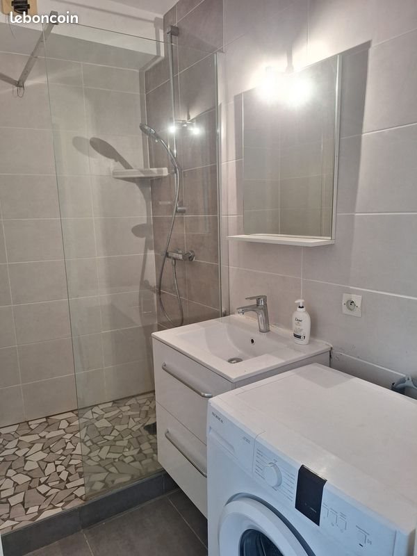 Appartement à louer, 42m², Saint-Etienne