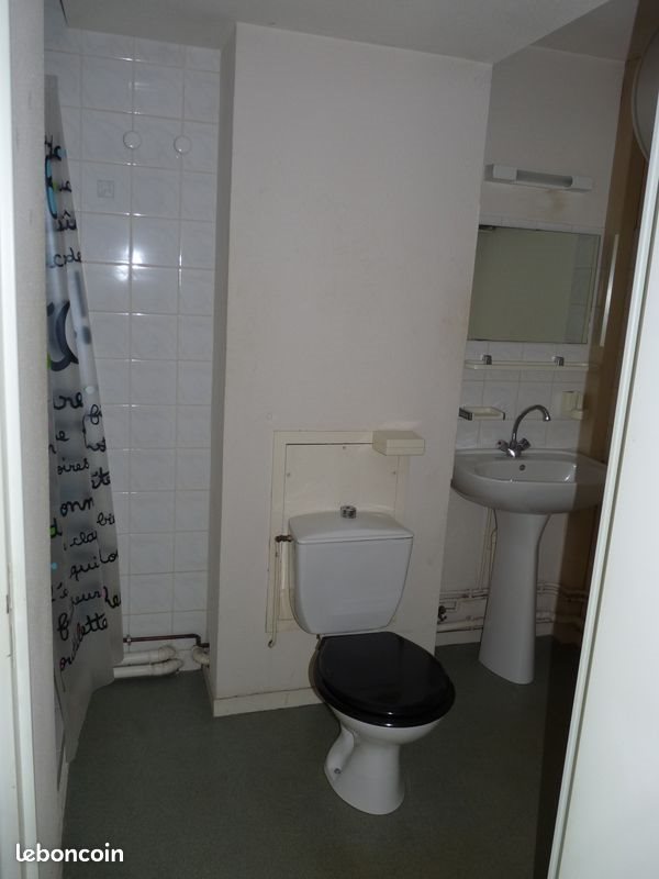 Appartement à louer, 20m², Angers