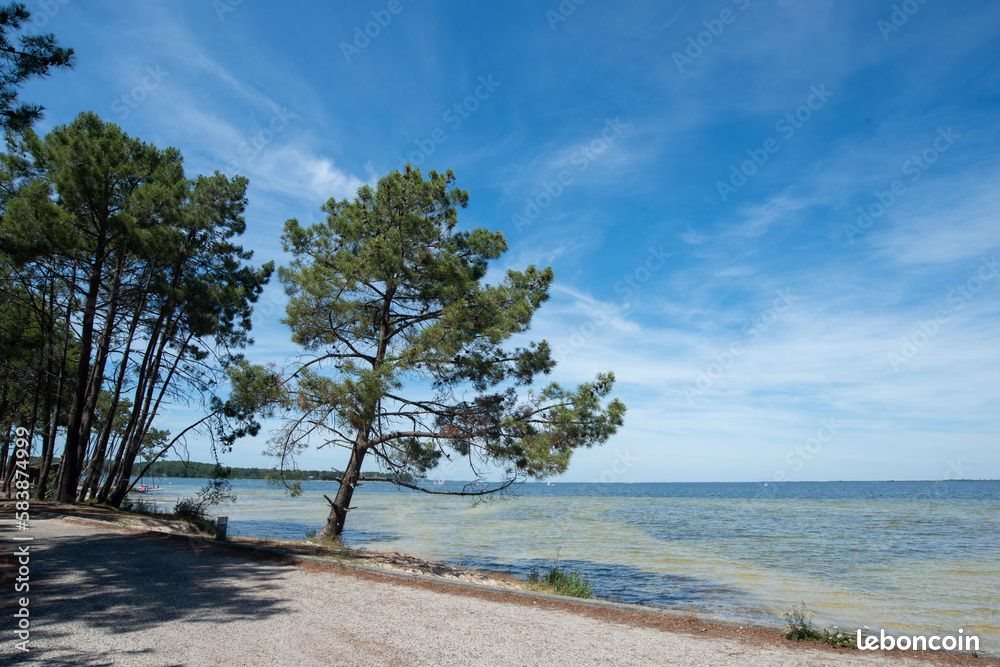 Maison à vendre, 130m², Hourtin