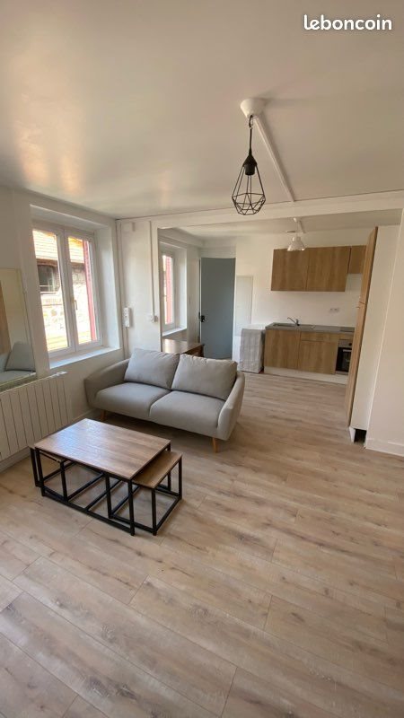 Appartement à louer, 31m², Saint-Etienne