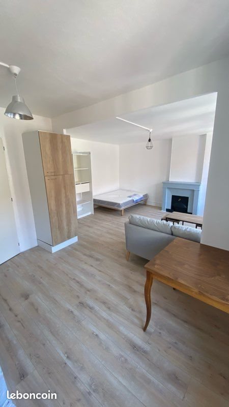 Appartement à louer, 31m², Saint-Etienne