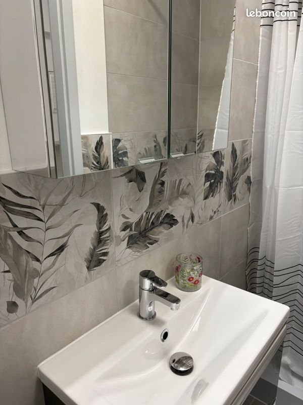 Appartement à louer, 24m², Mulhouse