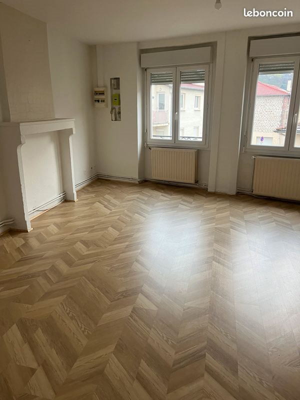 Appartement à louer, 50m², La Ricamarie