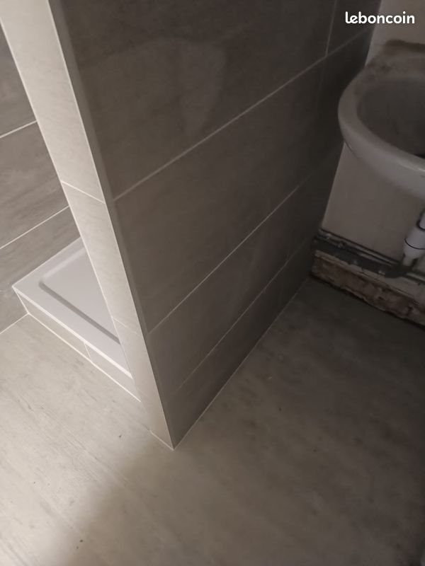 Appartement à louer, 50m², La Ricamarie