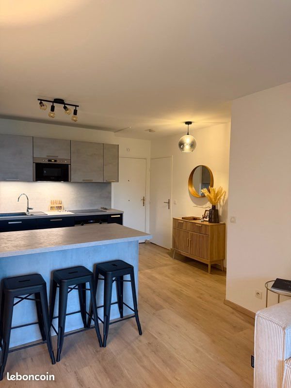Appartement à louer, 40m², Caluire-et-Cuire