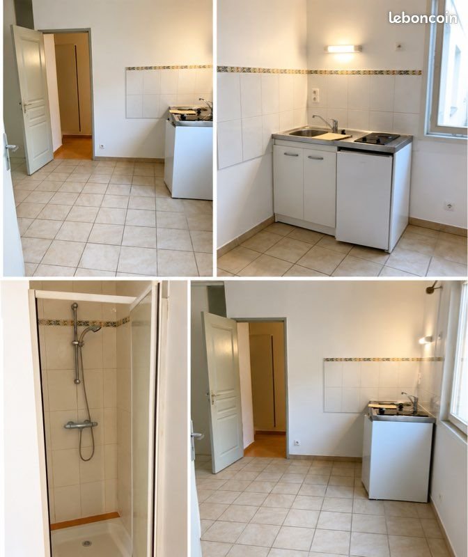 Appartement à louer, 20m², Angers