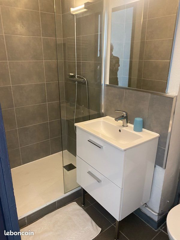 Appartement à louer, 31m², Oullins