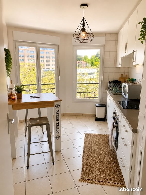 Appartement à louer, 55m², Saint-Etienne