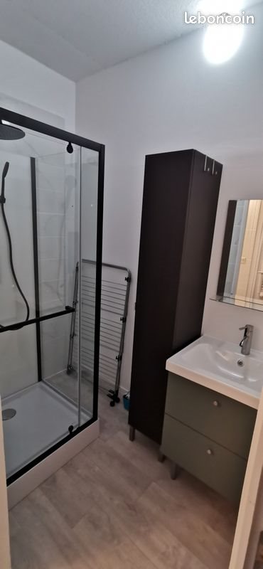 Appartement à louer, 28m², Anneyron