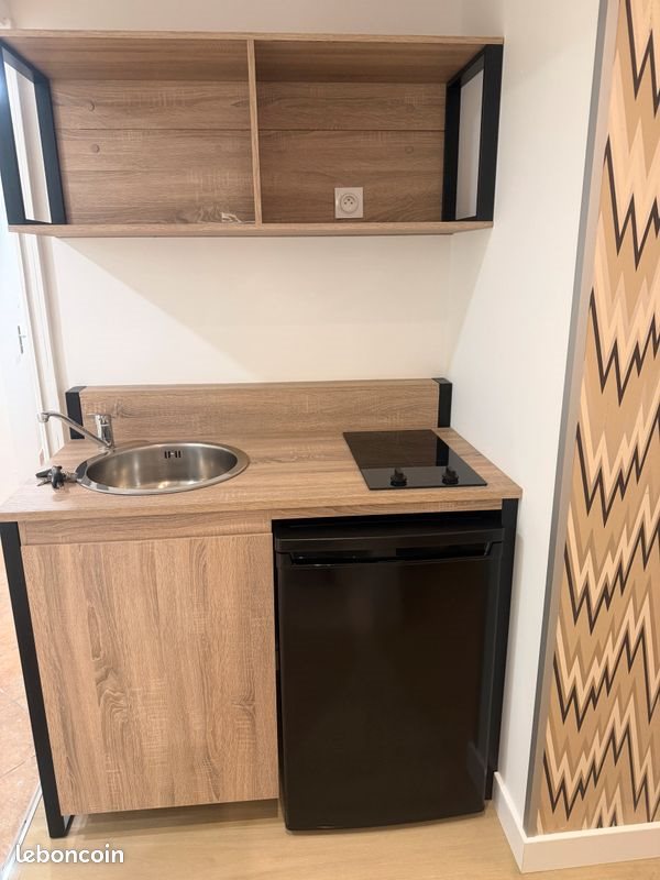 Appartement à louer, 20m², Saint-Etienne