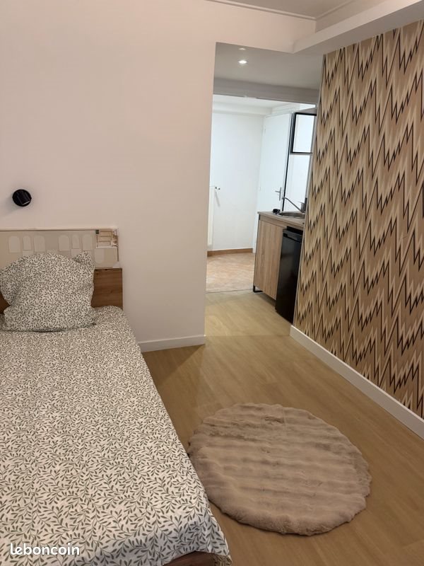 Appartement à louer, 20m², Saint-Etienne