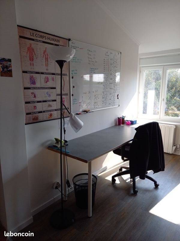 Appartement à louer, 18m², Loos