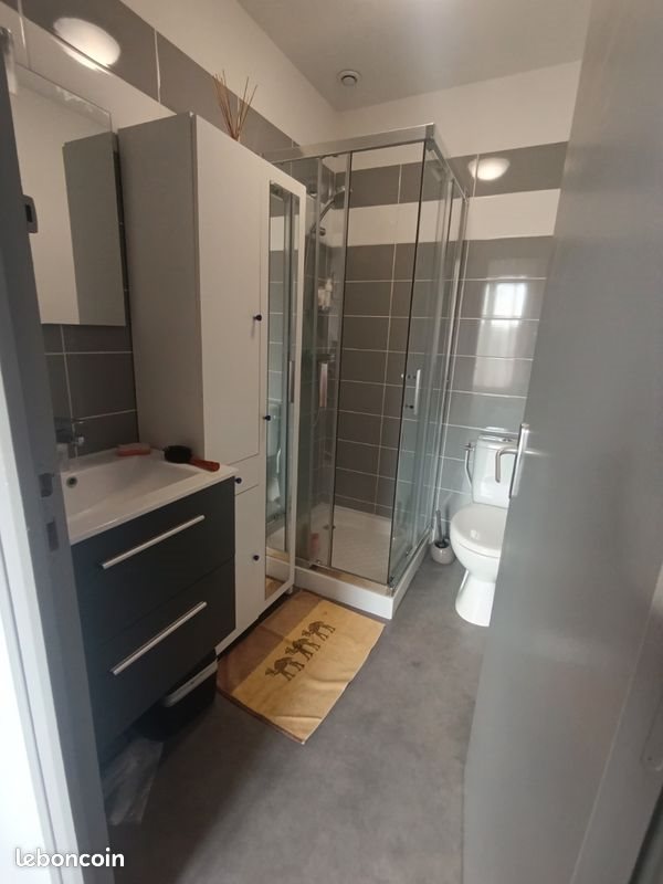 Appartement à louer, 52m², Roanne