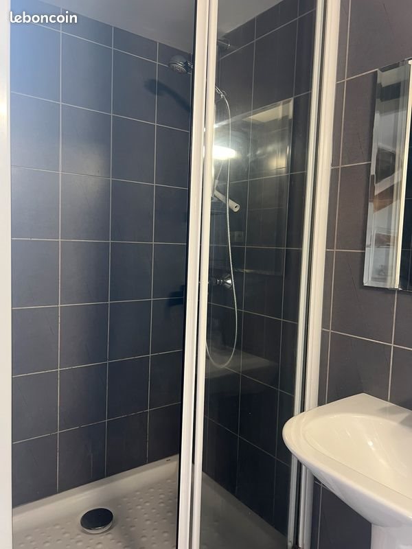 Appartement à vendre, 40m², Grenoble