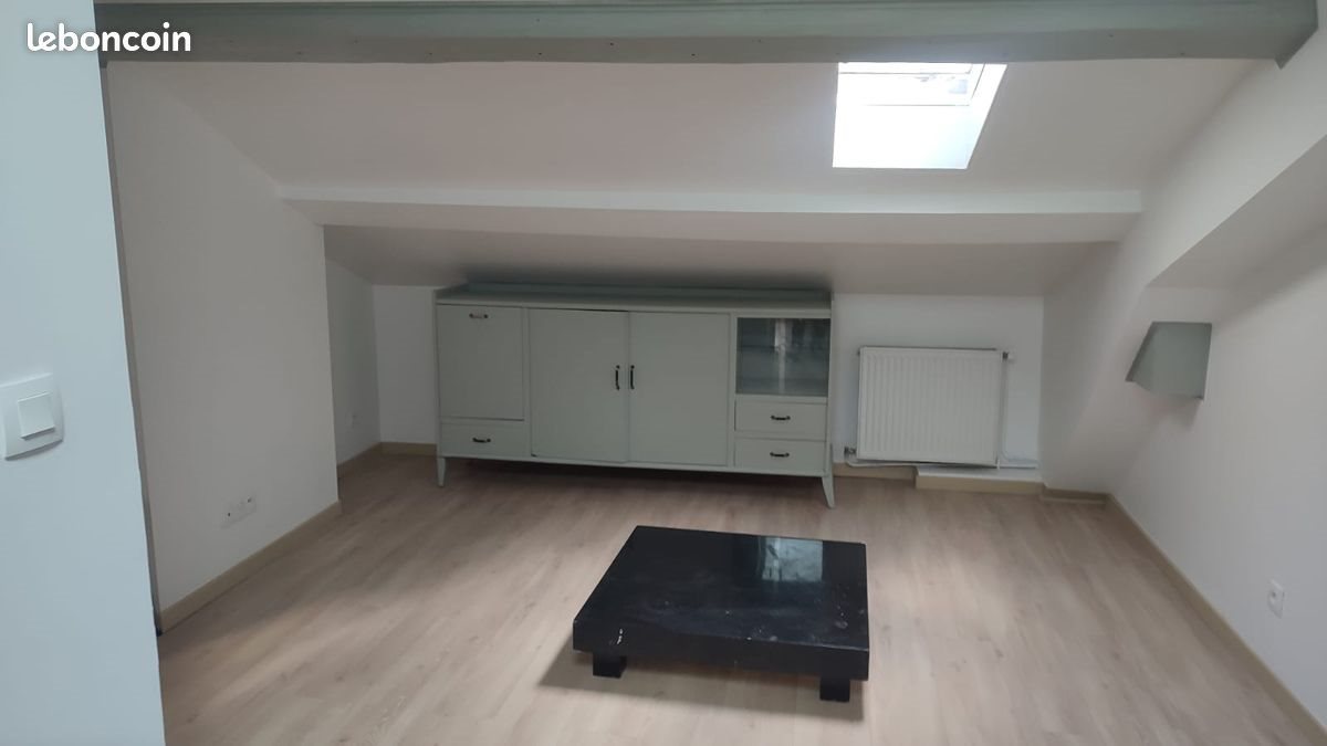 Appartement à louer, 50m², Saint-Étienne
