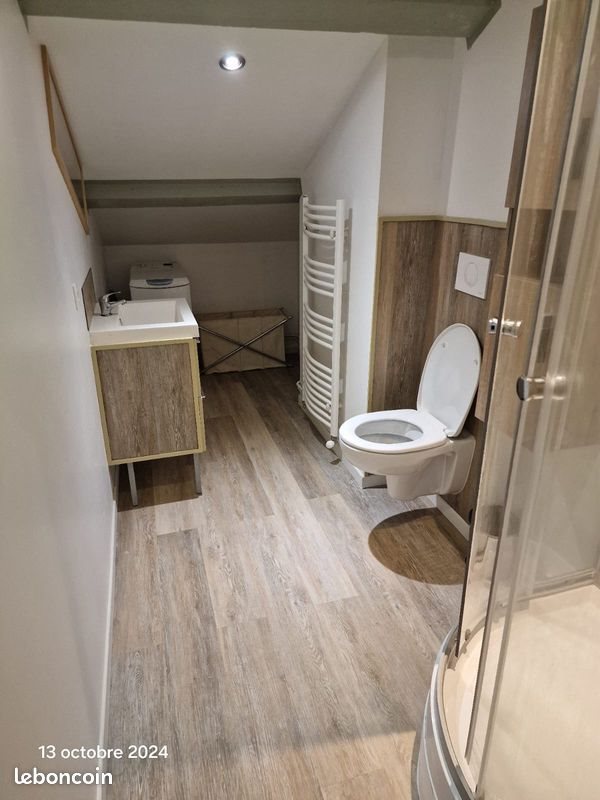 Appartement à louer, 50m², Saint-Étienne