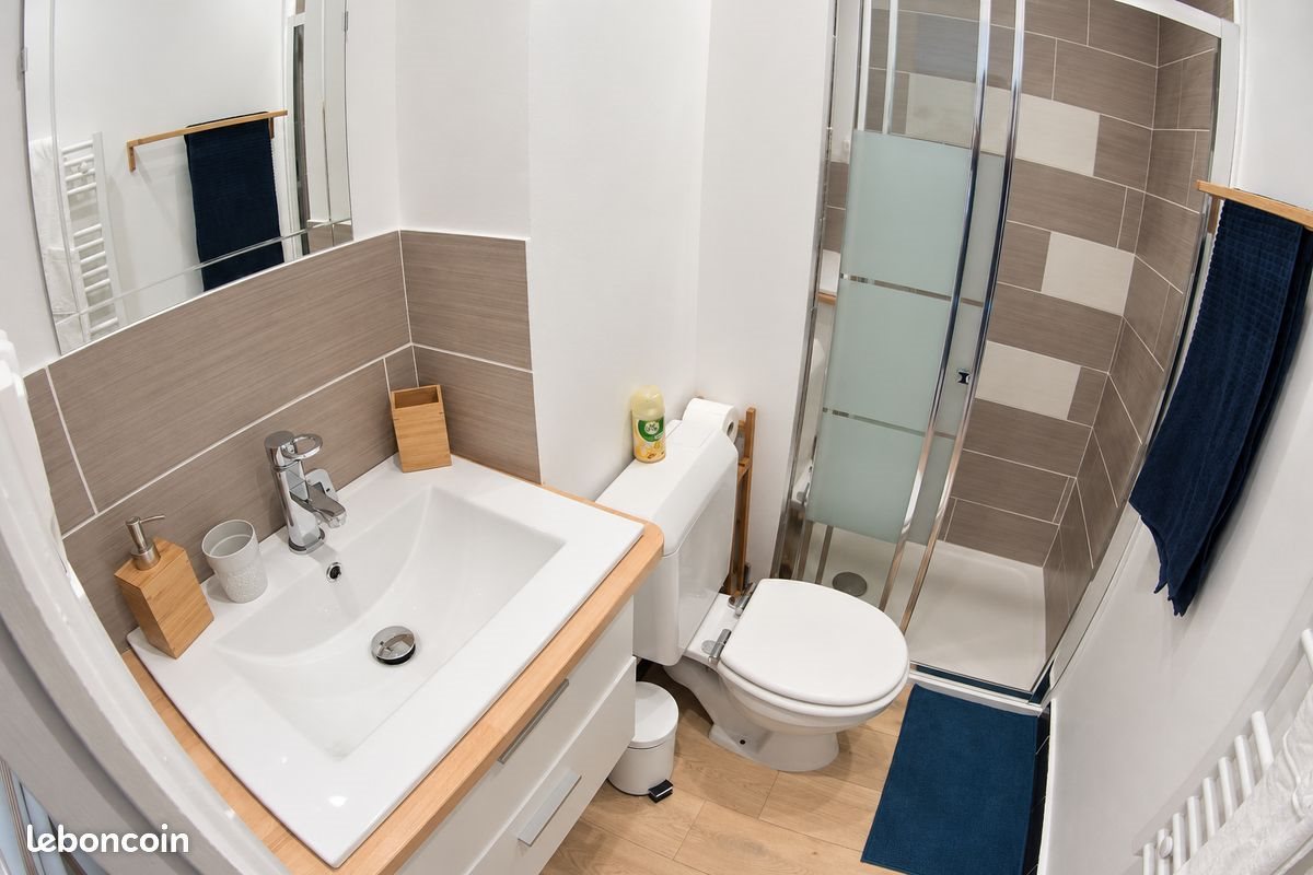 Appartement à louer, 25m², Saint-Étienne
